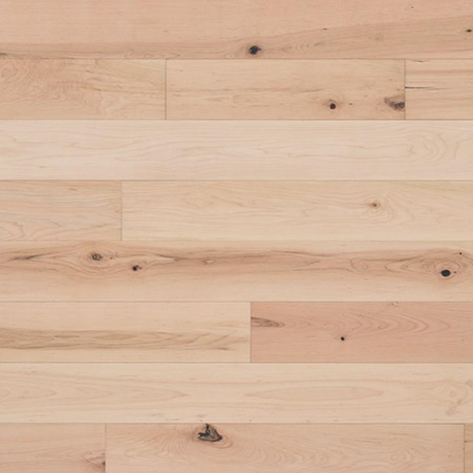 Maple Equinox